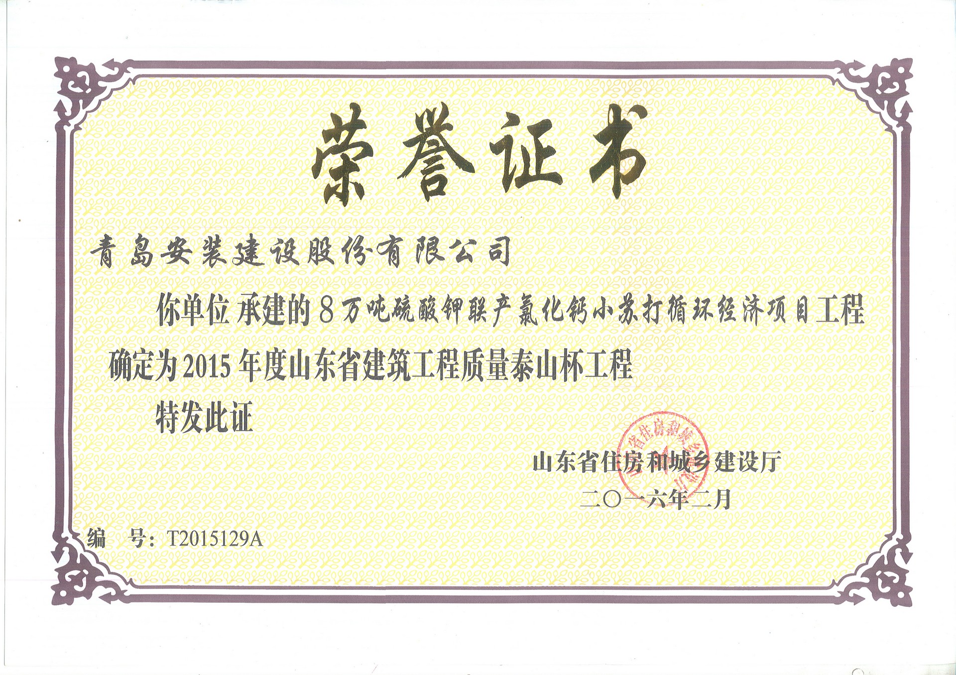 15年泰山杯-8萬噸年硫酸鉀聯(lián)產(chǎn)氯化鈣小蘇打循環(huán)經(jīng)濟(jì)項(xiàng)目.jpg