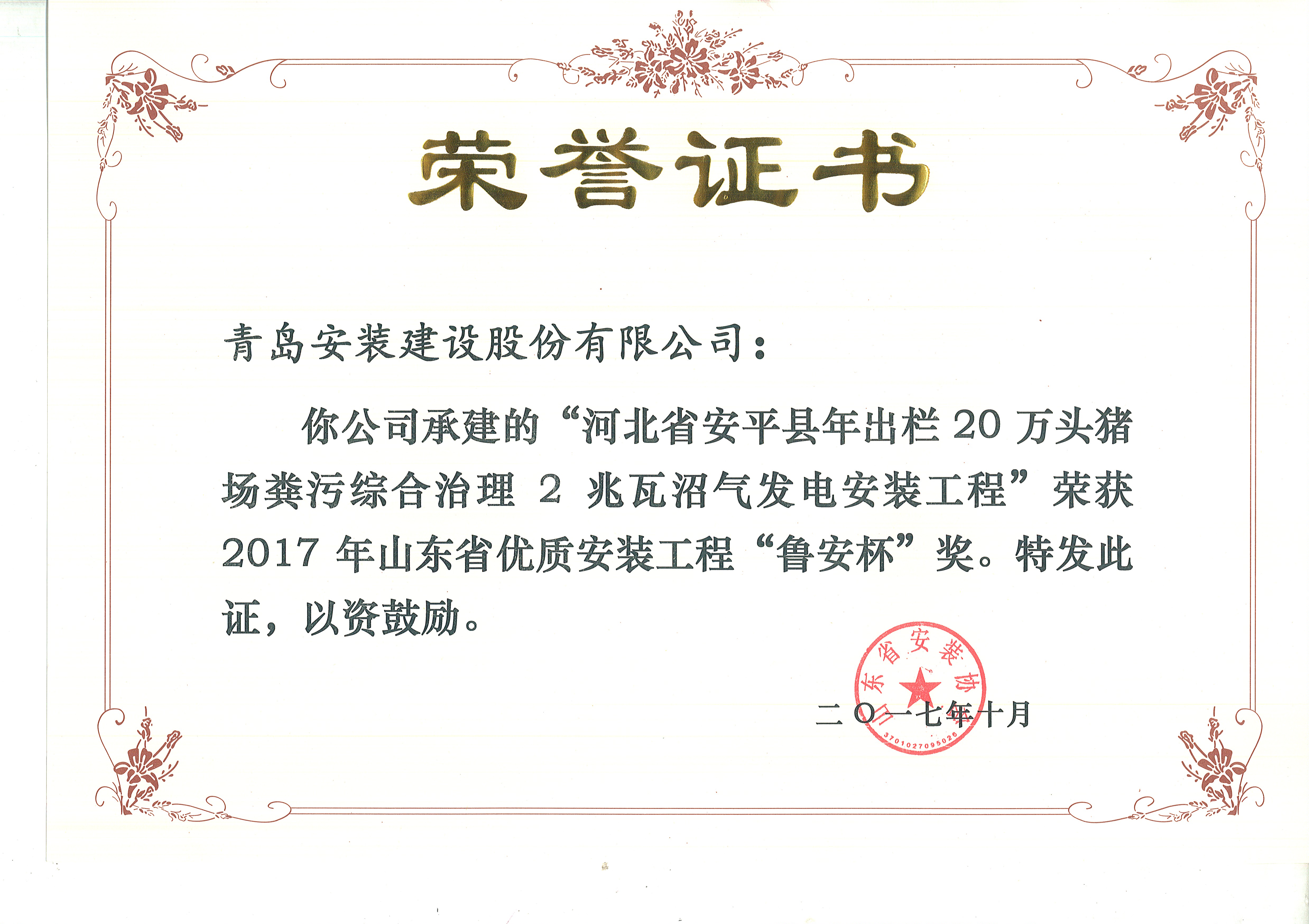 73、17魯安杯-河北安平2兆瓦沼氣發(fā)電.jpg
